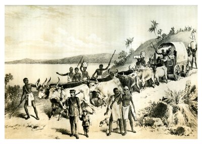 الوصول إلى بحيرة نغامي 1883 بواسطة غير معروف