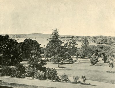 الحدائق النباتية في سيدني ، 1901. بواسطة غير معروف