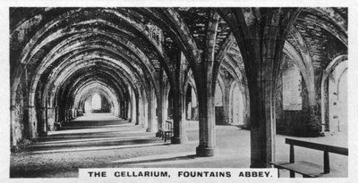 The Cellarium ، دير النافورات ، يوركشاير ، ج 1920s بواسطة غير معروف