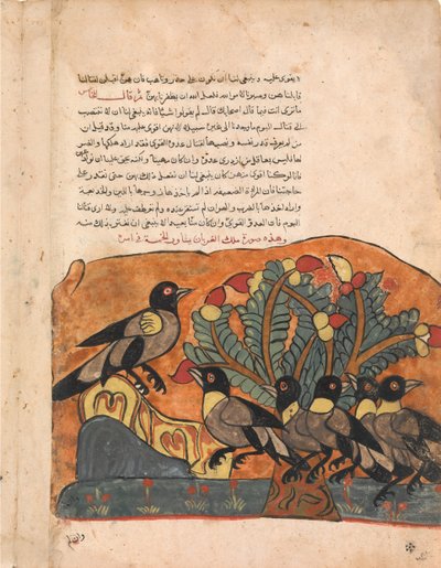 ملك الغراب يتشاور مع وزرائه ، فوليو من كليلة ودمنة ، القرن الثامن عشر. بواسطة غير معروف