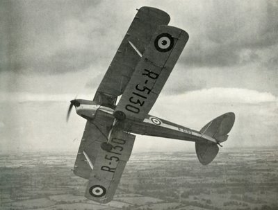 The De Havilland Tiger Moth ، 1941. بواسطة غير معروف