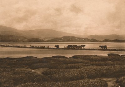 الدوفي في Ynyslas ، 1902 بواسطة غير معروف