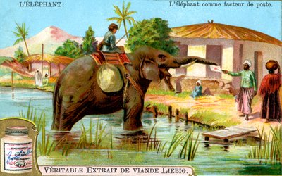 الفيل كبريد ساعي ، c1900 بواسطة غير معروف