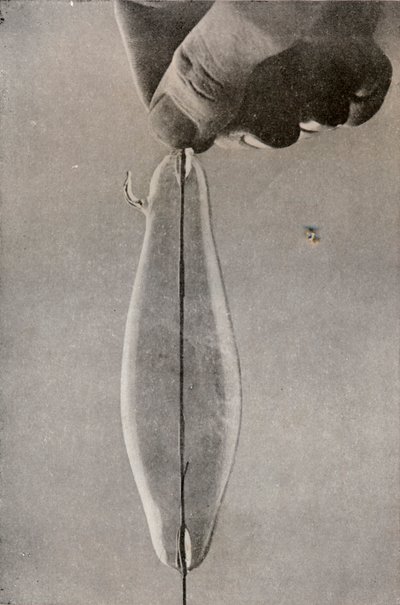 المصباح الكهربائي المتوهج الأول ، c1916 بواسطة غير معروف
