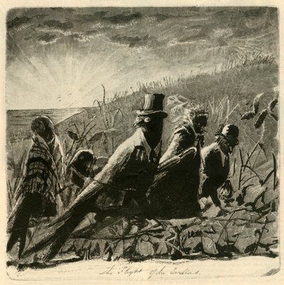 رحلة السنونو ، 1882. بواسطة غير معروف