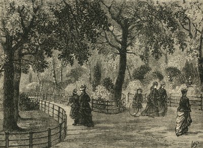 زهرة المشي ، حدائق كنسينغتون ، c1876. بواسطة غير معروف