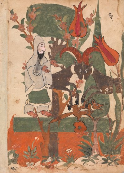 الثعلب والكباش القتالية التي رصدها الزاهد ، فوليو من كليلة ودمنة ، القرن الثامن عشر. بواسطة غير معروف