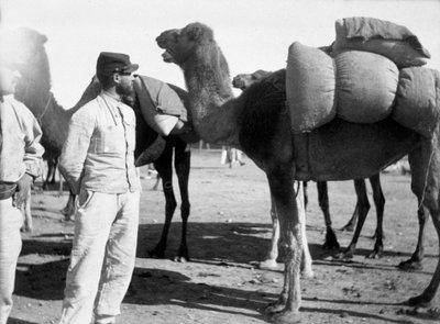 الفيلق الأجنبي الفرنسي في المناورات ، بودنيب ، المغرب ، 1911 بواسطة غير معروف