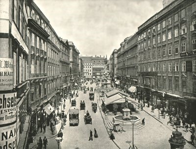 The Graben ، فيينا ، النمسا ، 1895. بواسطة غير معروف