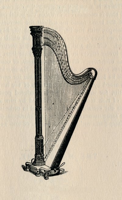 القيثارة ، 1895. بواسطة غير معروف