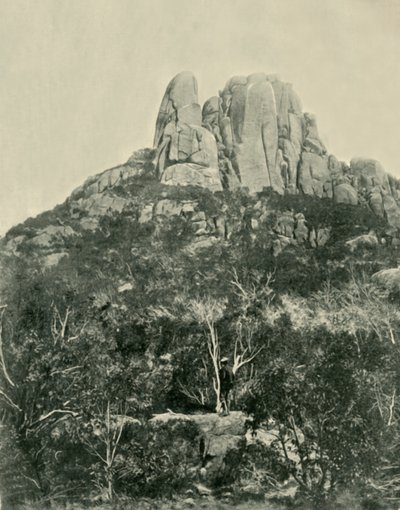 الحدب ، جبال بافالو ، 1901. بواسطة غير معروف