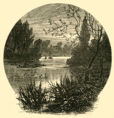 البحيرة ، باترسي بارك ، c1878. بواسطة غير معروف