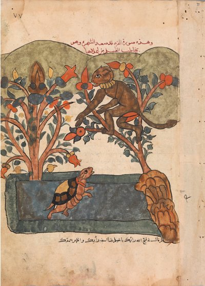 القرد يهرب إلى سلامة شجرة التين ، فوليو من كليلة ودمنة ، القرن الثامن عشر. بواسطة غير معروف