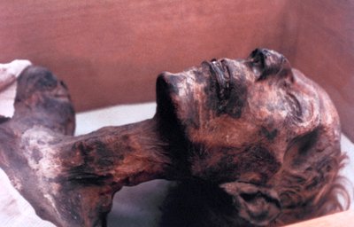 مومياء رمسيس الثاني ، مصر ، 1213 قبل الميلاد بواسطة غير معروف