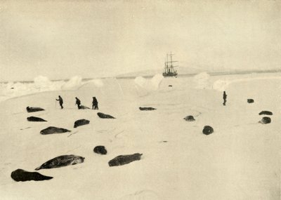 نمرود في نقطة برام في 4 مارس 1909 بواسطة غير معروف