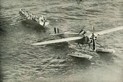 العودة إلى الحمامة إلى الفلك ، 1919. بواسطة غير معروف