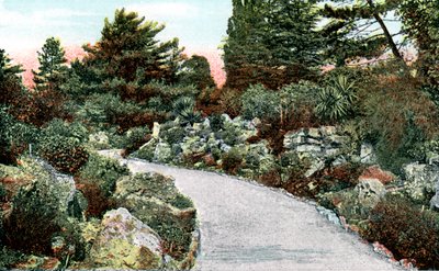 The Rockery ، حدائق كيو ، ريتشموند أبون تيمز ، لندن ، القرن العشرين بواسطة غير معروف
