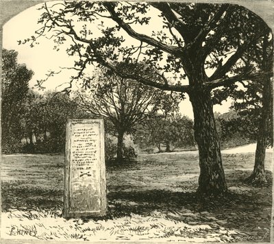 حجر روفوس في الغابة الجديدة ، 1890. بواسطة غير معروف