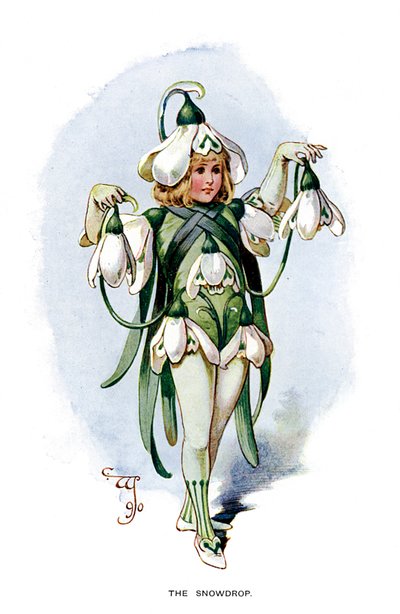 Snowdrop ، 1899 بواسطة غير معروف