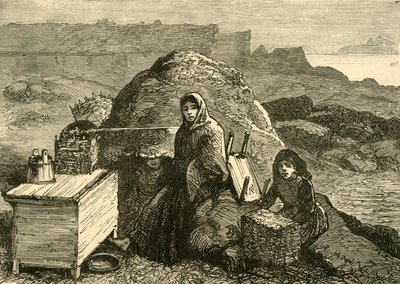 دولة أيرلندا: عائلة تم طردها بالقرب من إريسمور ، c1880. بواسطة غير معروف