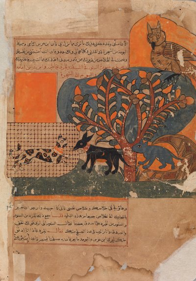 القط المحاصر وفأر الفأر الخائف ، فوليو من كليلة ودمنة ، القرن الثامن عشر. بواسطة غير معروف