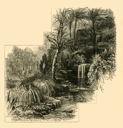 الحدائق الاستوائية ، باترسي بارك ، c1878. بواسطة غير معروف