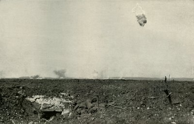 الدب الصوفي ، 1919. بواسطة غير معروف
