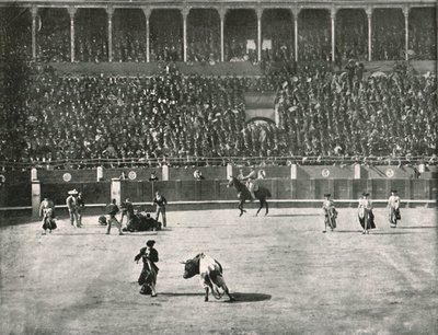الجزء الداخلي من Bullring ، مدريد ، إسبانيا ، 1895. بواسطة غير معروف