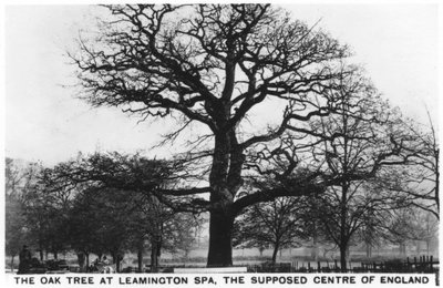 البلوط في Leamington Spa ، المركز المفترض لإنجلترا ، 1936 بواسطة غير معروف