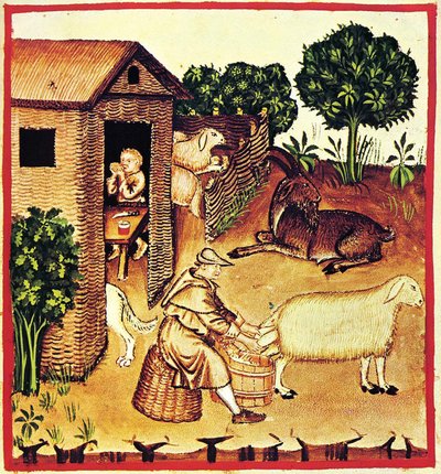 إنتاج الجبن. صورة مصغرة من Tacuinum Sanitatis ، النصف الثاني من القرن الرابع عشر. بواسطة غير معروف