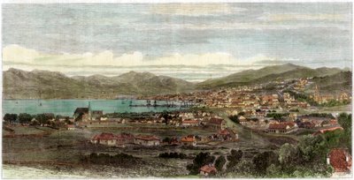 مدينة وميناء ويلينغتون ، عاصمة نيوزيلندا ، c1880 بواسطة غير معروف