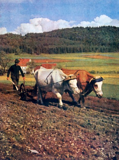 تيلينج ، ألمانيا ، 1943 بواسطة غير معروف