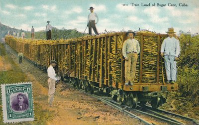 قطار شحن قصب السكر ، كوبا ، 1911 بواسطة غير معروف