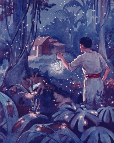 اليراعات الاستوائية كنقاط ضوئية للرقص ، 1935 بواسطة غير معروف