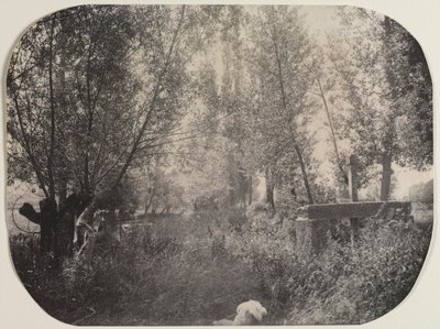 منظر طبيعي بدون عنوان مع الكلب ، ج. 1910. بواسطة غير معروف