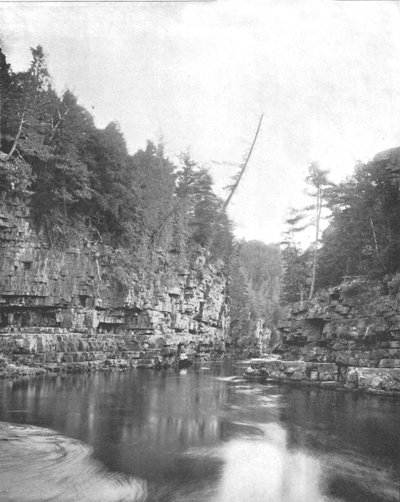 الطرف العلوي من Ausable Chasm ، Adirondacks ، ولاية نيويورك ، الولايات المتحدة الأمريكية ، c1900. بواسطة غير معروف