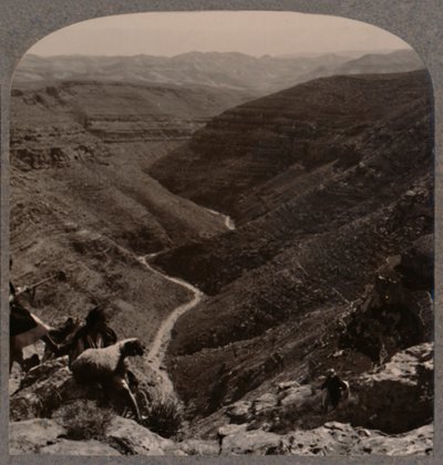 وادي أرنو ، الراعي والأغنام في المقدمة ، c1900 بواسطة غير معروف