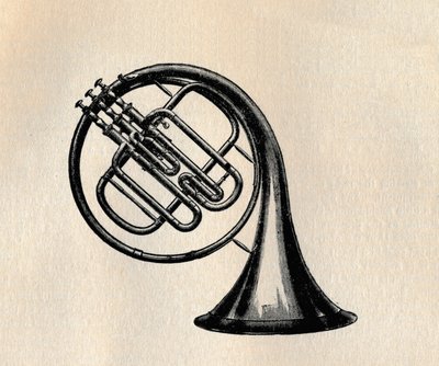 صمام القرن ، 1895. بواسطة غير معروف