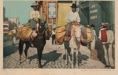 رجال الخضروات ، هافانا ، كوبا ، 1904 بواسطة غير معروف