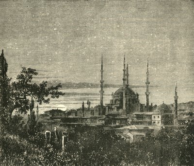 مشهد في أدرنة - مسجد سليم الثاني ، 1890. بواسطة غير معروف