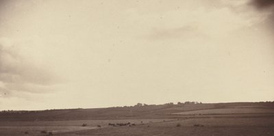 منظر الحقول مع الأبقار ، 1850-1860. بواسطة غير معروف
