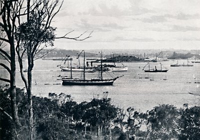 منظر لميناء سيدني من نورث شور ، رقم 1 ، c1900. بواسطة غير معروف