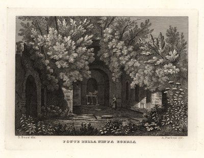 منظر لربيع الحورية Egeria ، Fonte della Ninfa Egeria ، باركو كافاريلا ، روما بواسطة غير معروف