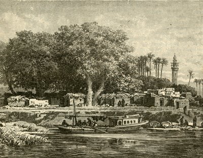 منظر لدلتا النيل 1890. بواسطة غير معروف
