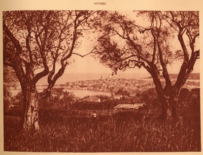 عرض من خلال أشجار الزيتون إلى أنتيب ، 1930. بواسطة غير معروف