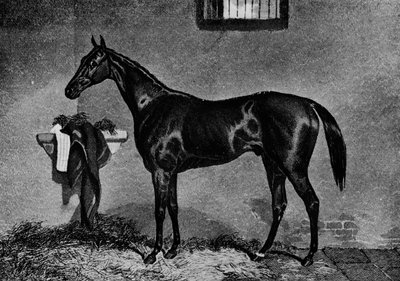 Voltigeur ، 1847-1874 ، 1911 بواسطة غير معروف