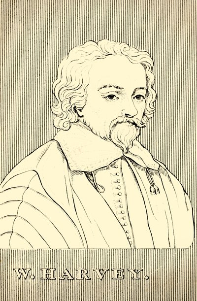 و. هارفي ، 1578-1657 ، 1830. بواسطة غير معروف