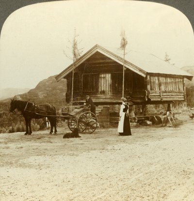 انتظار الركاب على الطريق بالقرب من Bolkesjo ، النرويج ، c1905. بواسطة غير معروف