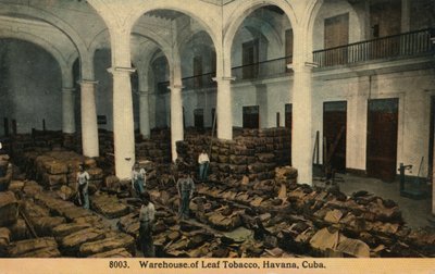 مستودع أوراق التبغ ، هافانا ، كوبا ، c1910 بواسطة غير معروف