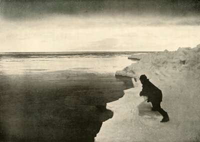 مشاهدة الأختام في Ice-Edge ، c1908 ، 1909. بواسطة غير معروف
